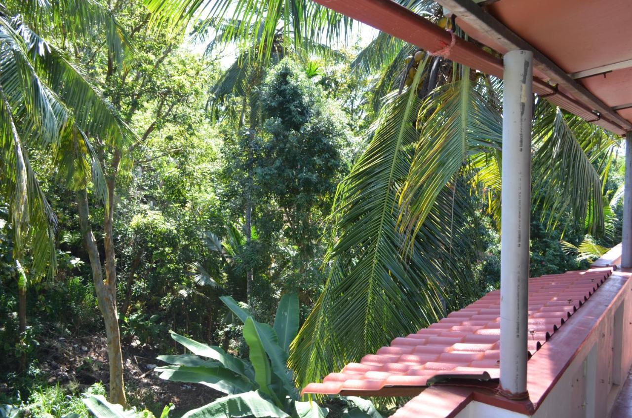 אונה ואטונה Hansa Villa מראה חיצוני תמונה